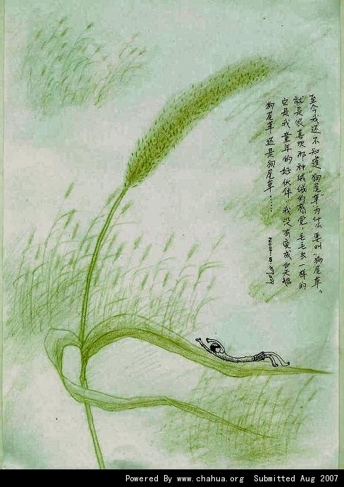 Բ鿴Ʒͼ