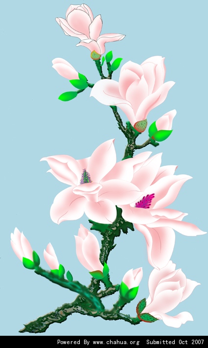 Բ鿴Ʒͼ
