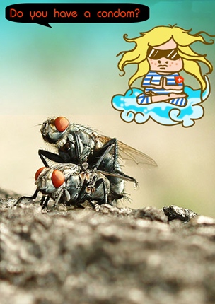 Բ鿴Ʒͼ