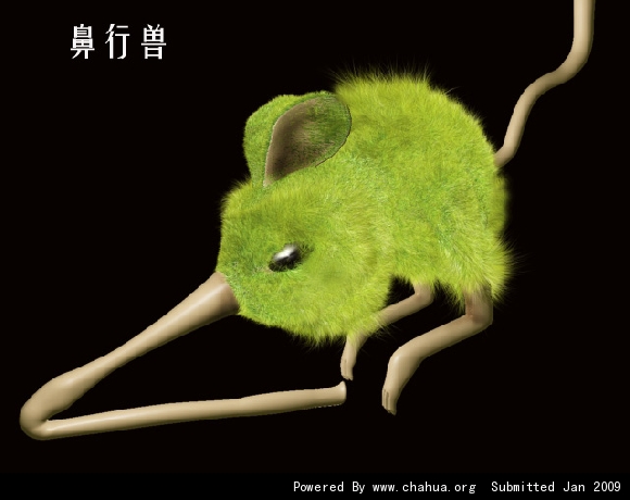 Բ鿴Ʒͼ