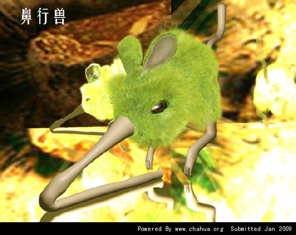 Բ鿴Ʒͼ