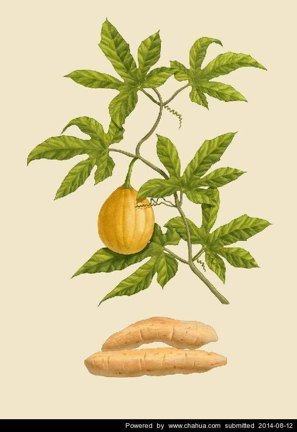 Բ鿴Ʒͼ