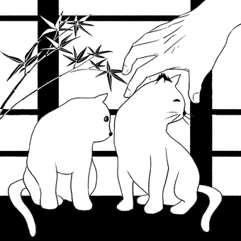 Բ鿴Ʒͼ
