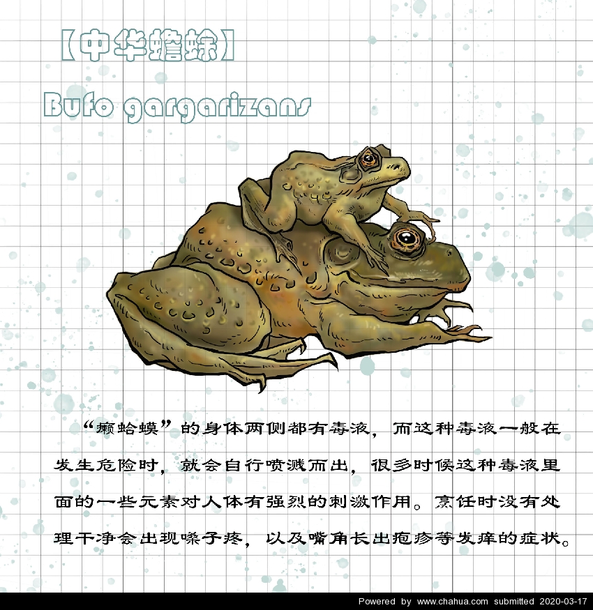 Բ鿴Ʒͼ