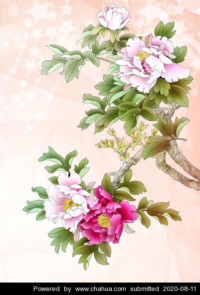 Բ鿴Ʒͼ