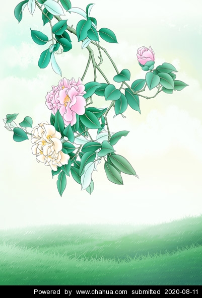 Բ鿴Ʒͼ