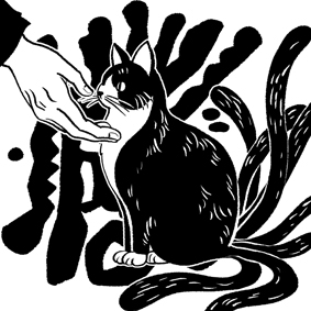 Բ鿴Ʒͼ