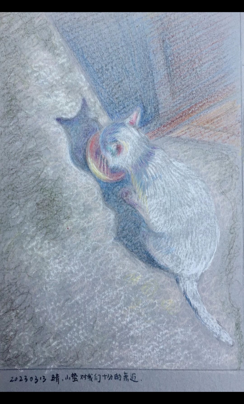 Բ鿴Ʒͼ