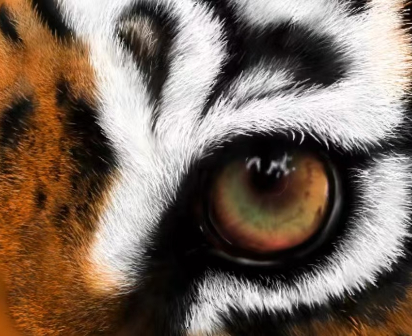 Բ鿴Ʒͼ