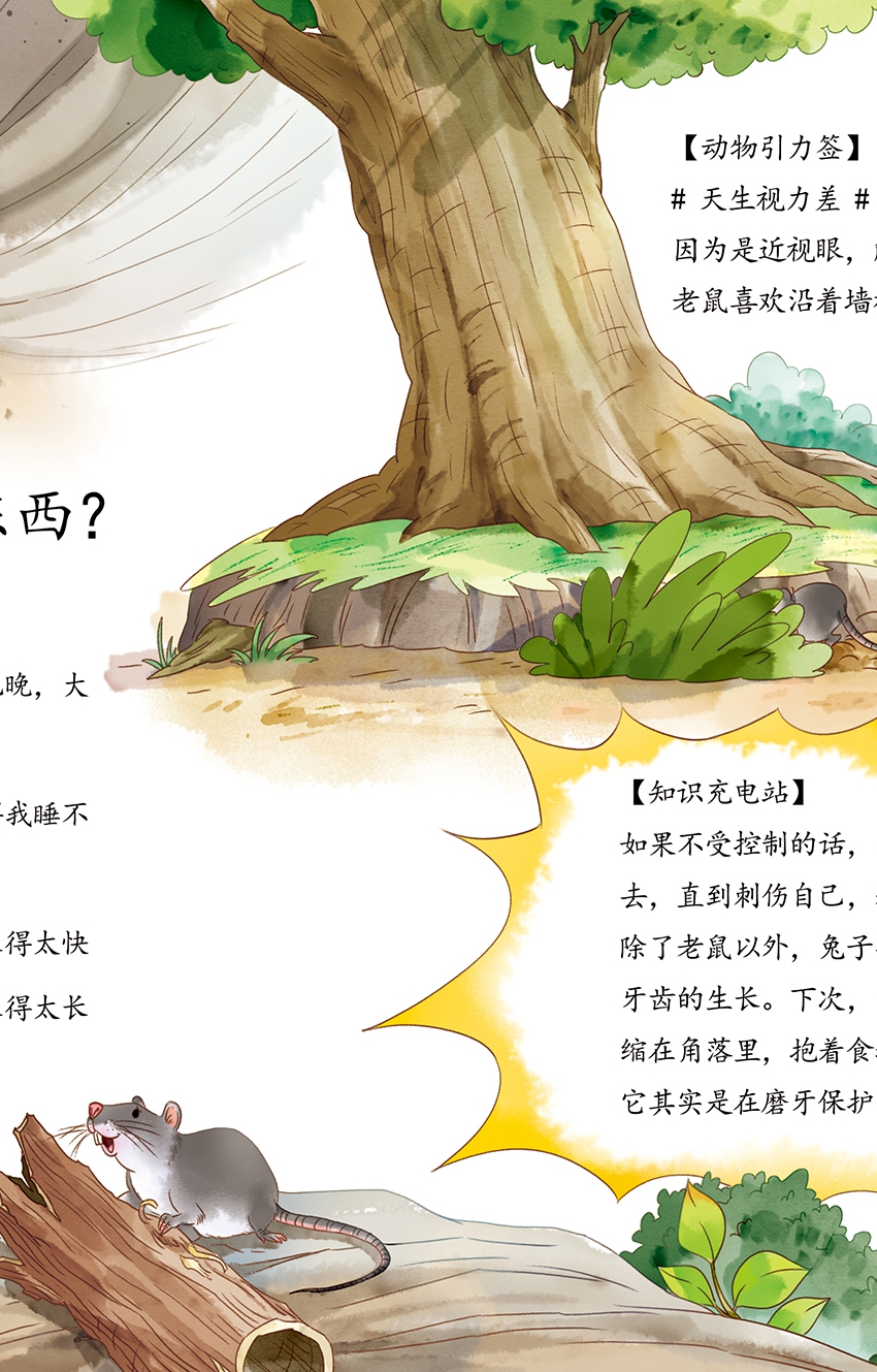 Բ鿴Ʒͼ